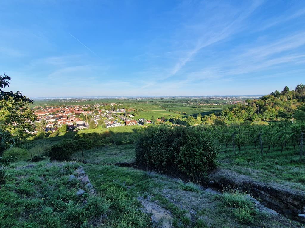 Wachenheim an der Weinstraße