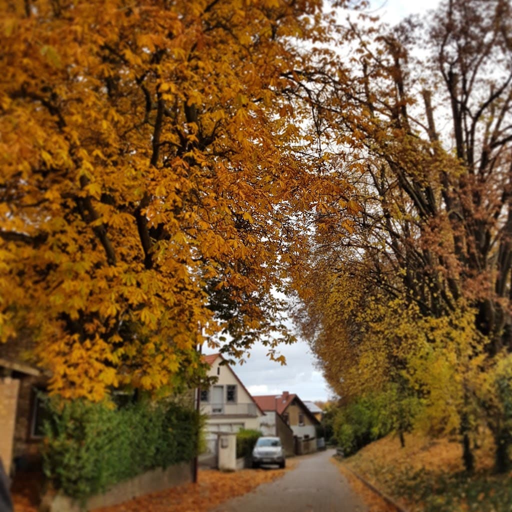 Gundersheim