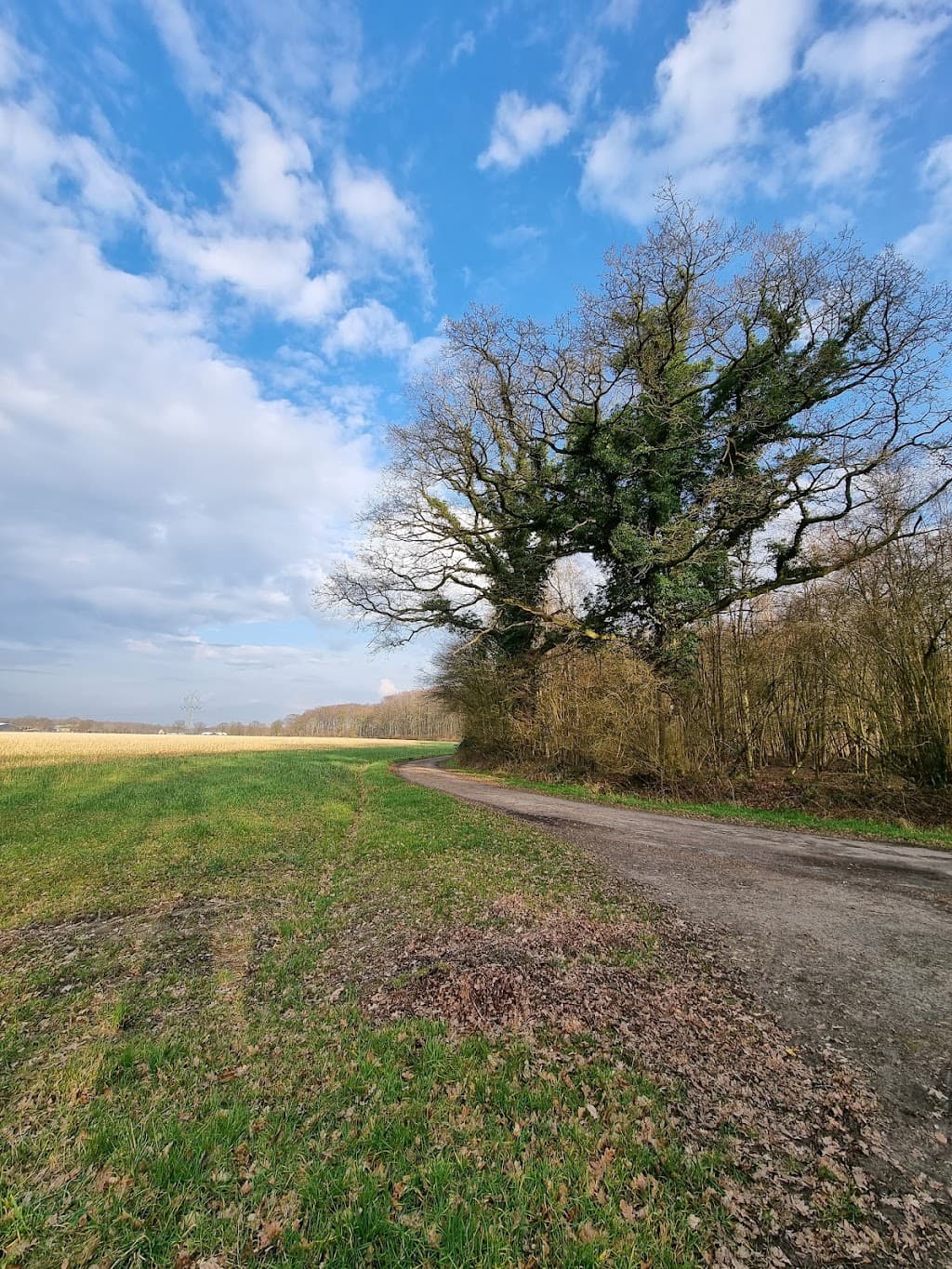 Bokholt-Hanredder