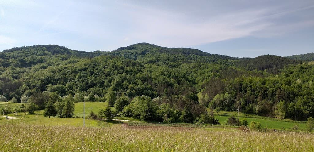 Cerovlje