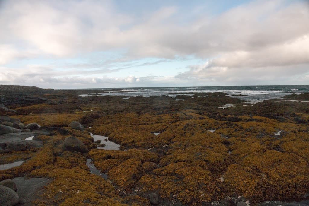 Reykjanesbær