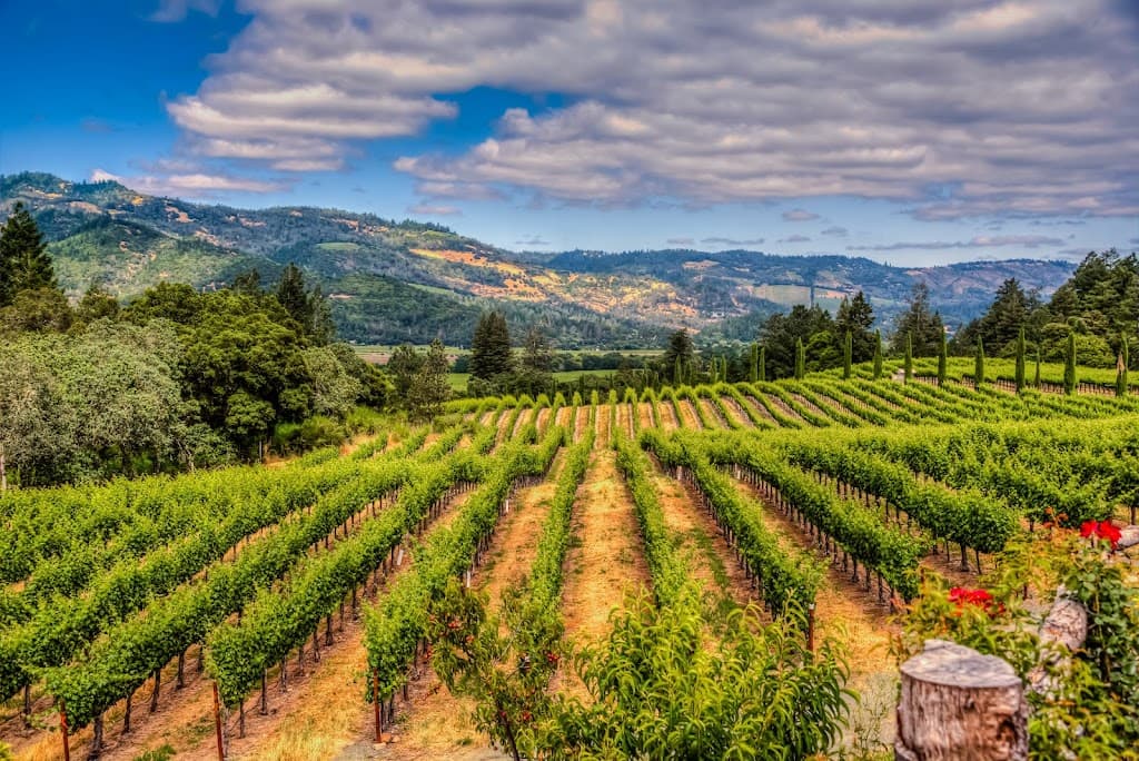 Napa