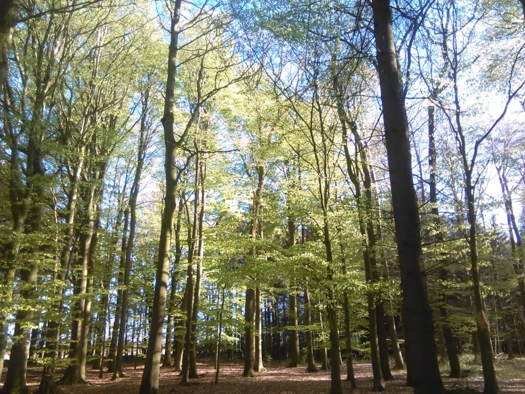 Bargenstedt