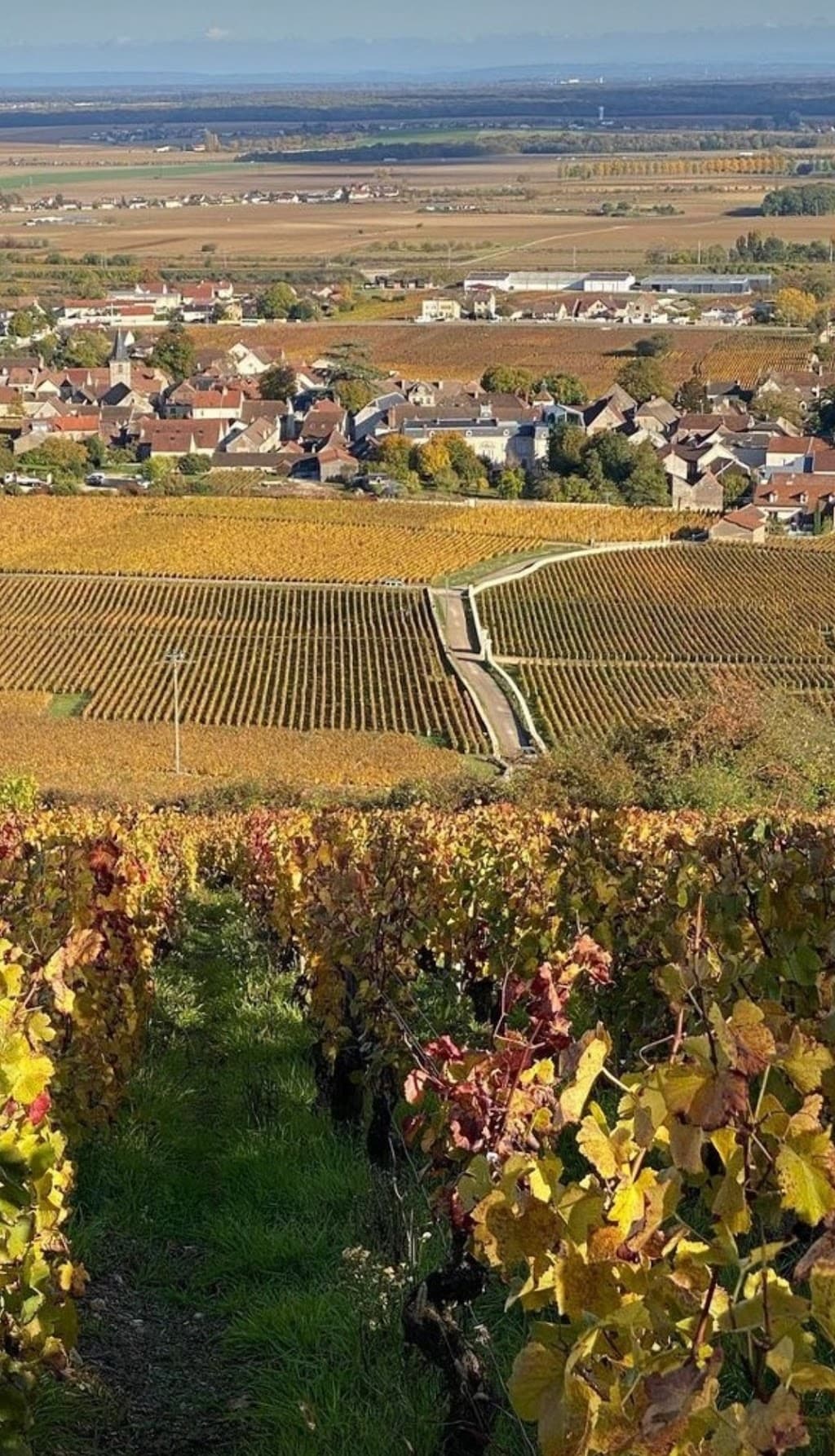 Département Côte-d’Or