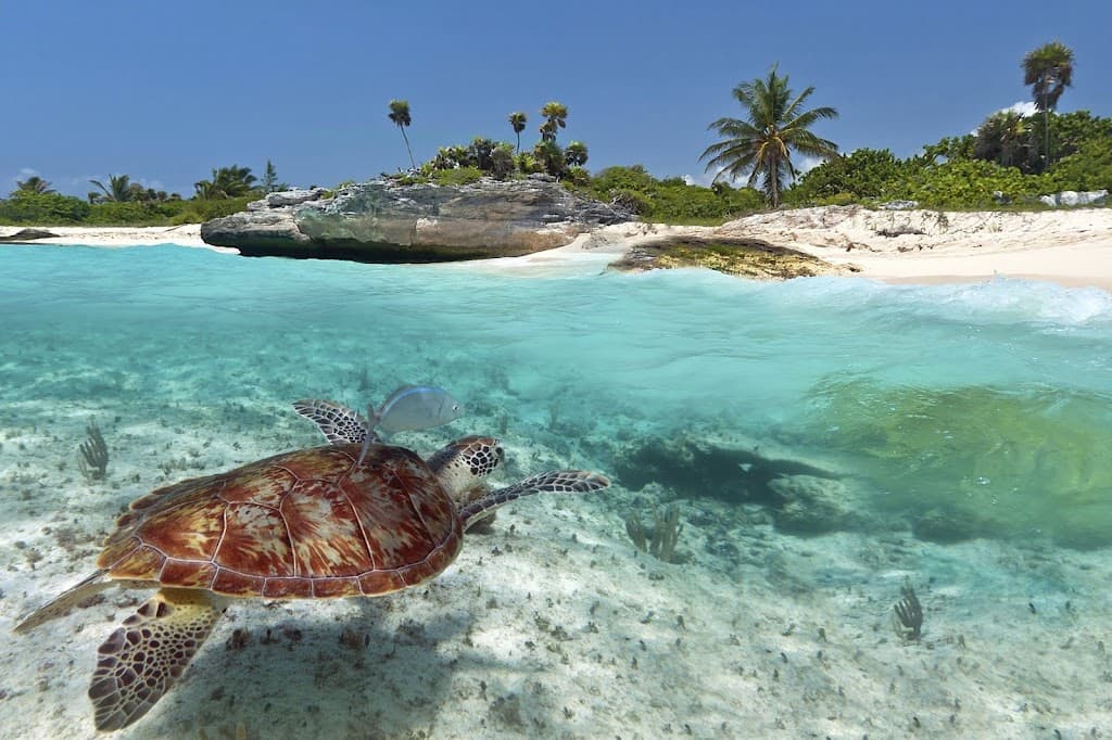 Quintana Roo