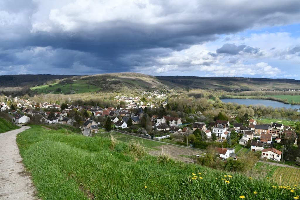 Marne