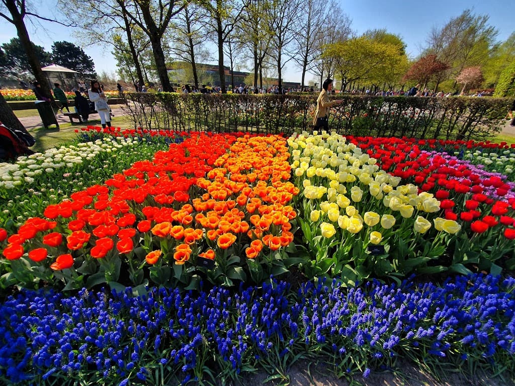 Südholland