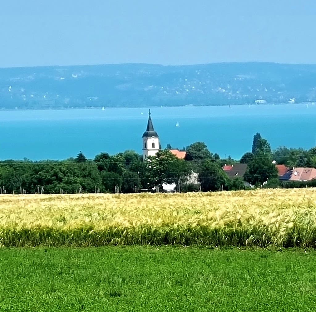 Komitat Somogy