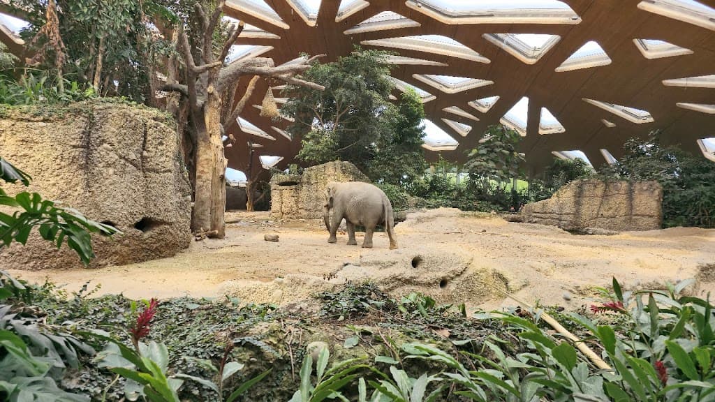 Zürich Zoo