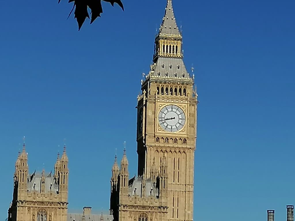 The Houses of Parliament