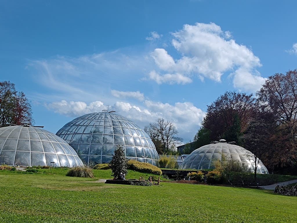 Zürich Botanischer Garten