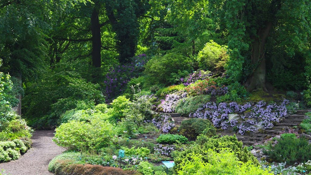 Utrechtse Botanische Tuinen