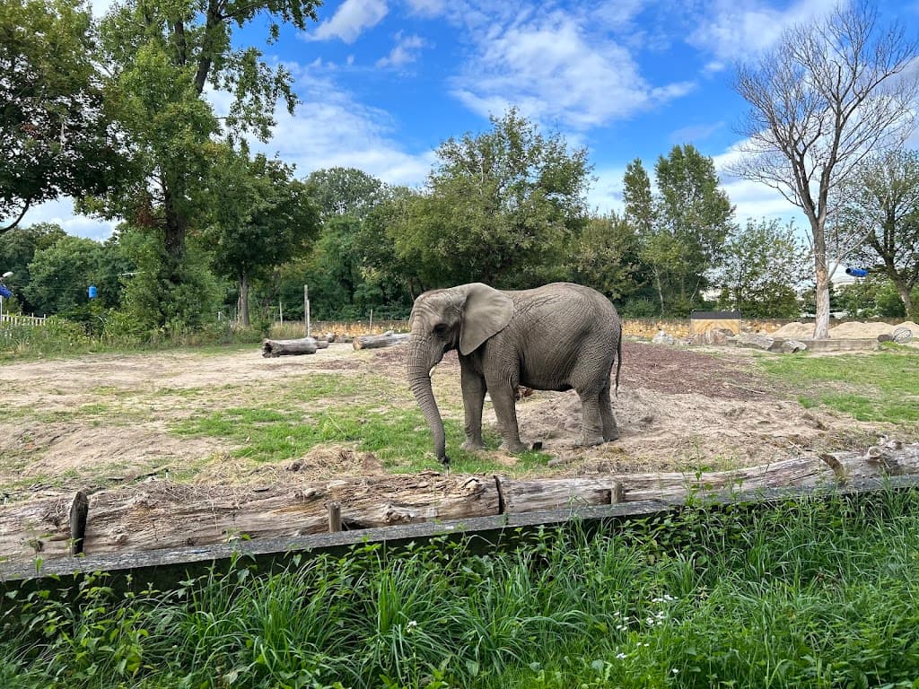 Warschauer Zoo
