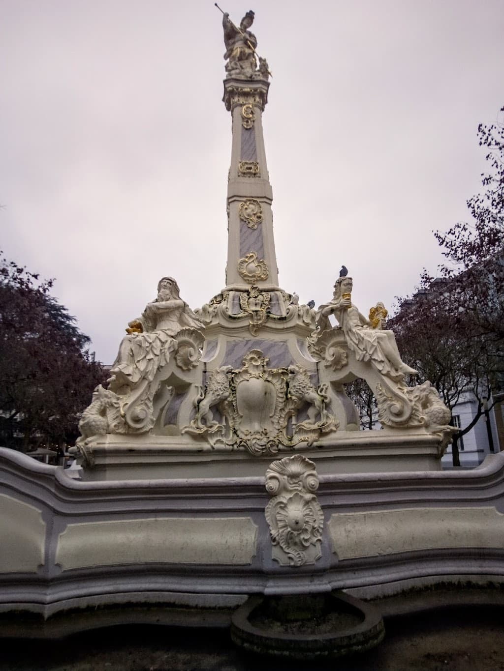 Zeder am Kornmarkt