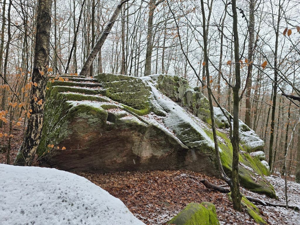 Felsengarten Hohenstein