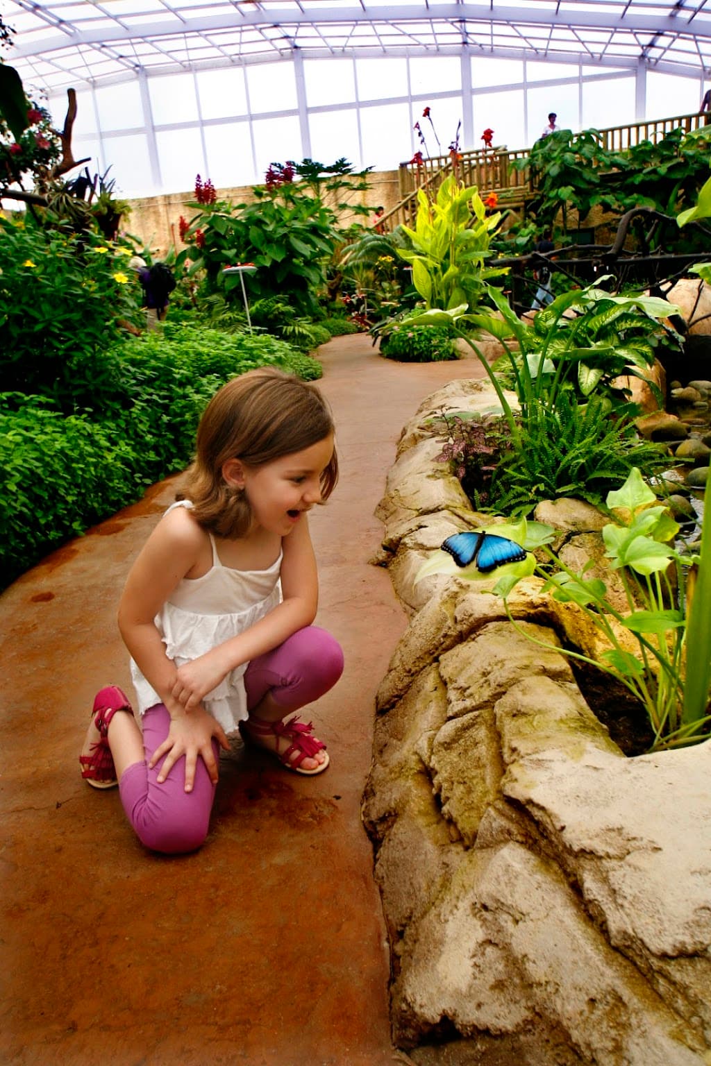 Mariposario del Drago Butterfly Park