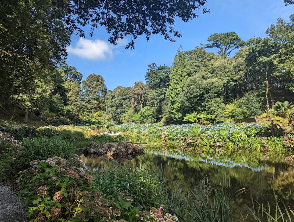 Trebah Garden