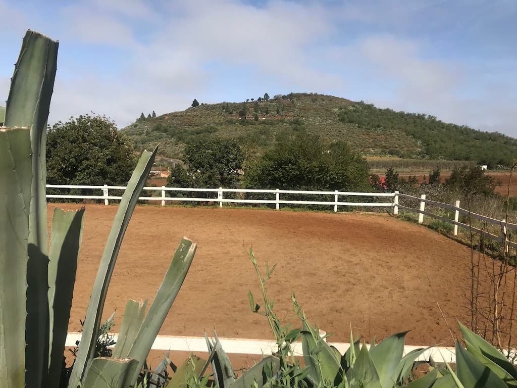 Centro Hípico San Mateo