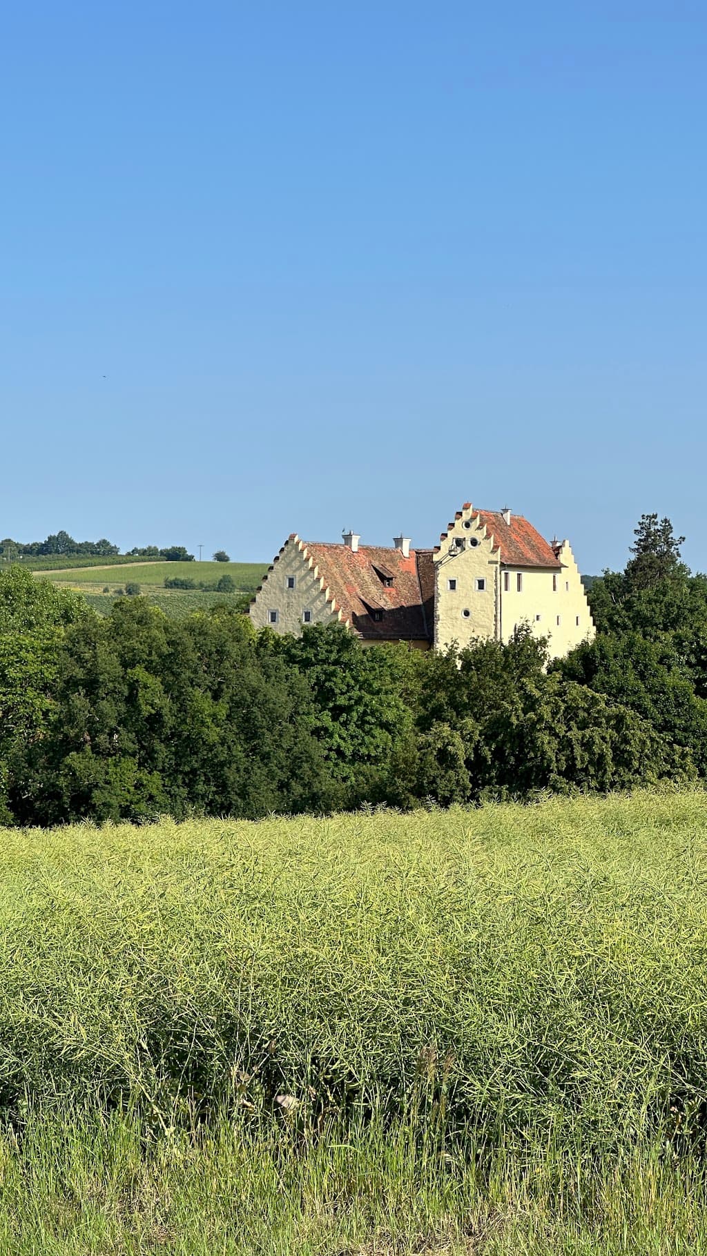 Schloss Klingenberg