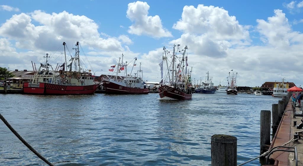 Büsumer Krabbenkutterregatta