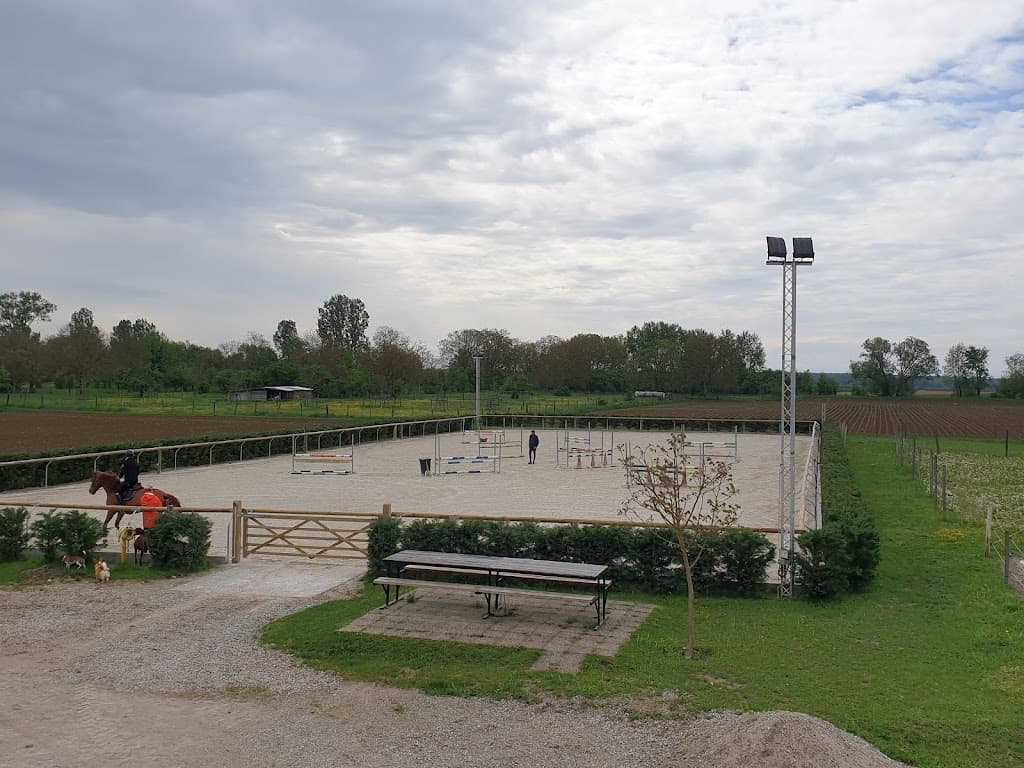 Source Litzelfeld