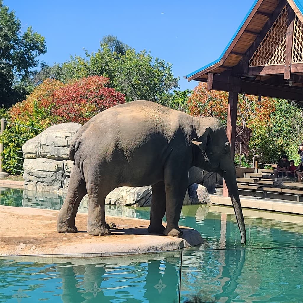 Denver Zoo
