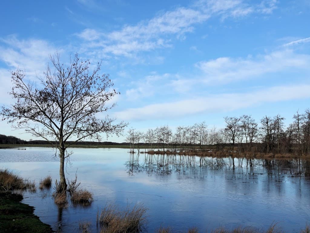 Natuurgebied De Vroongronden