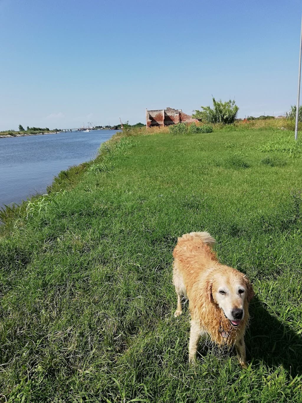 Canale Lombardo