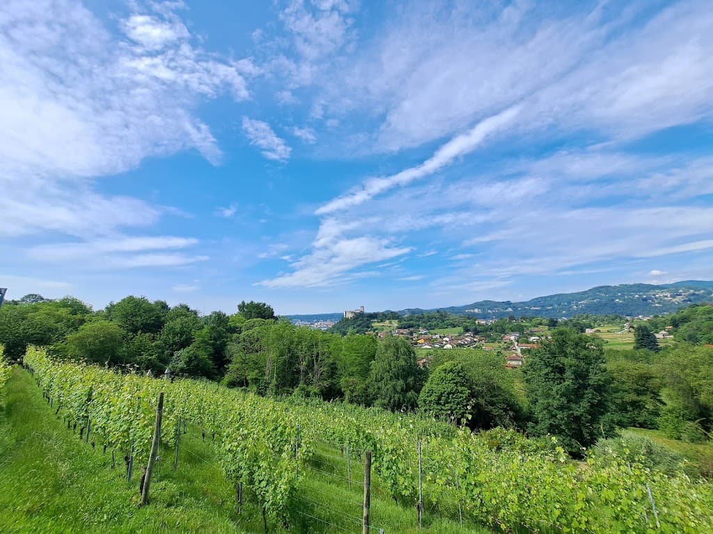 Azienda Agricola Cascina Piano