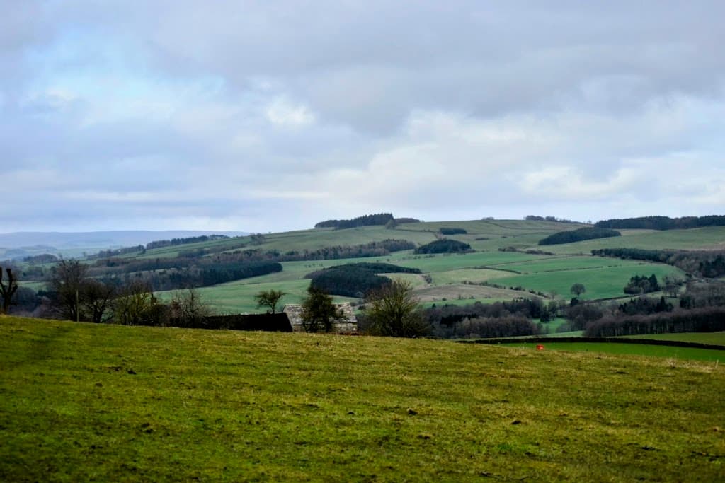 Warden Hill