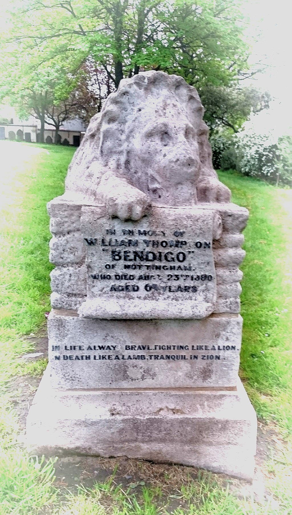 Bendigo Thompson Grab