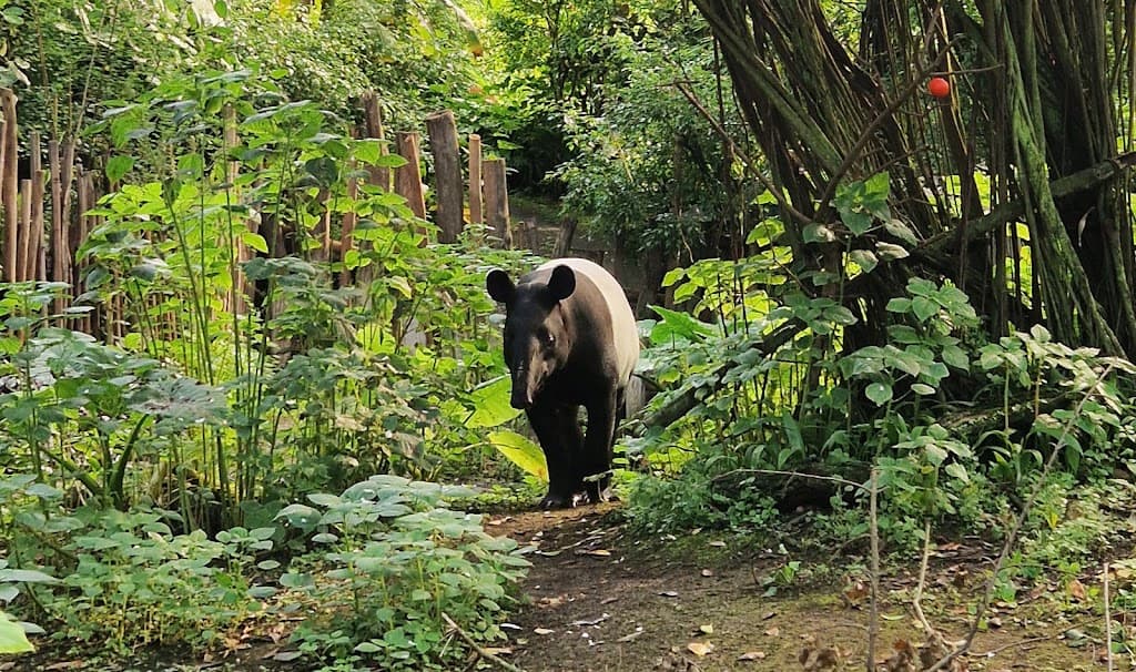 Leipziger Zoo