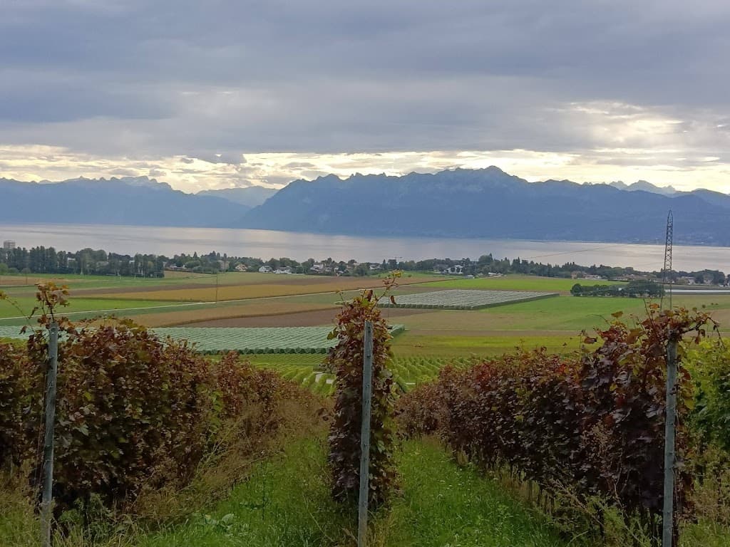 Commune de Denens