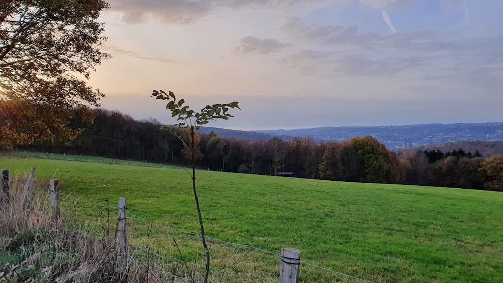 Wildgehege am Ehrenberg
