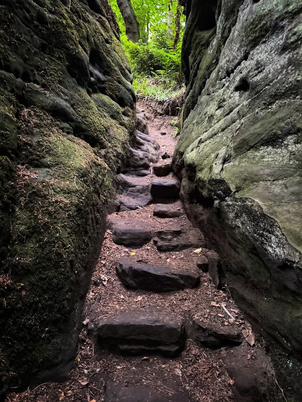 Dunino Den