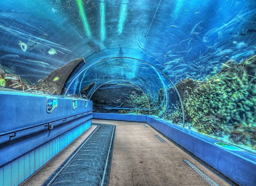 Georgia Aquarium