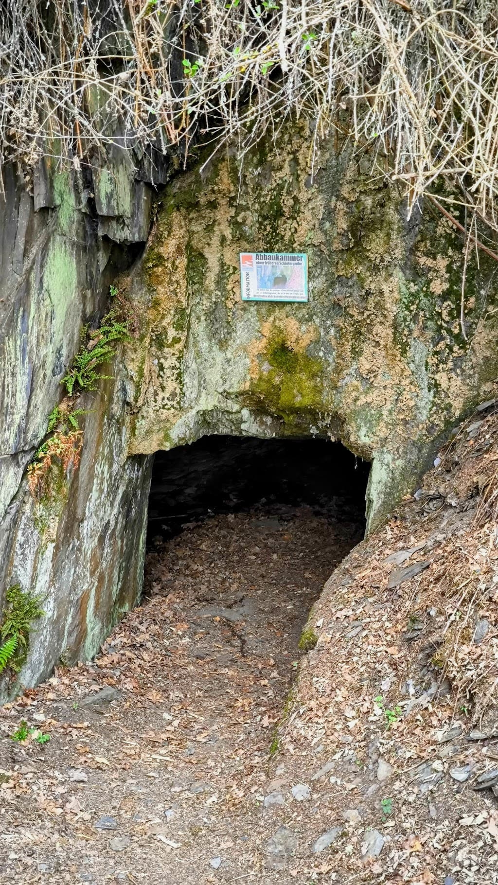 Mayener Grubenfeld
