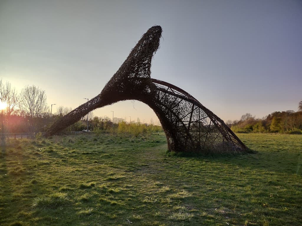 Der Wal (The Whale)