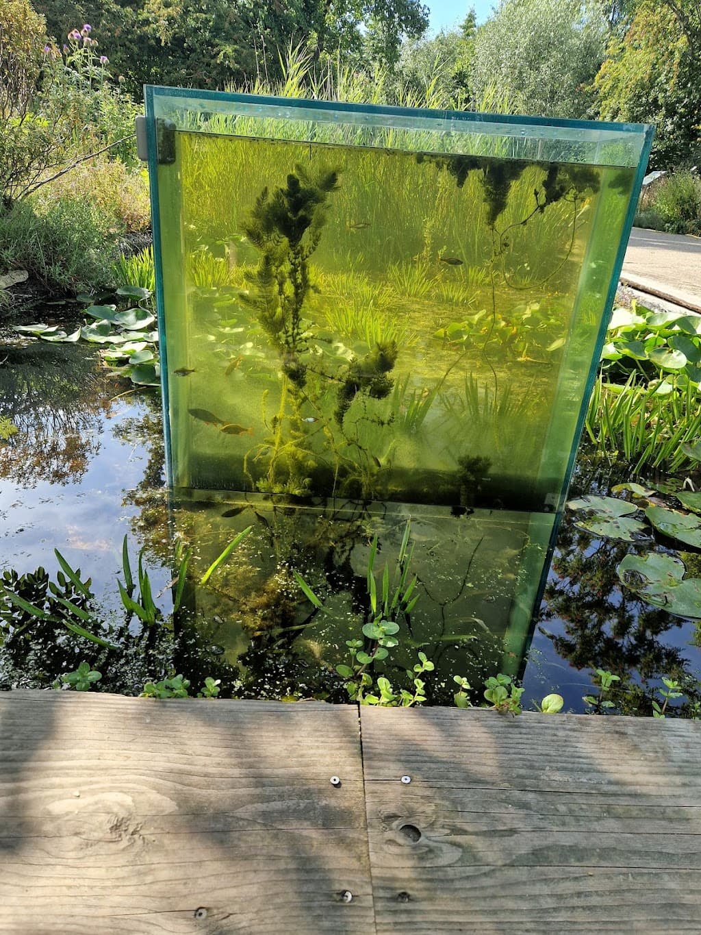 Hortus Alkmaar