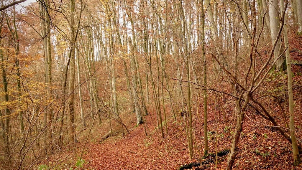 Burgstall Karlsburg
