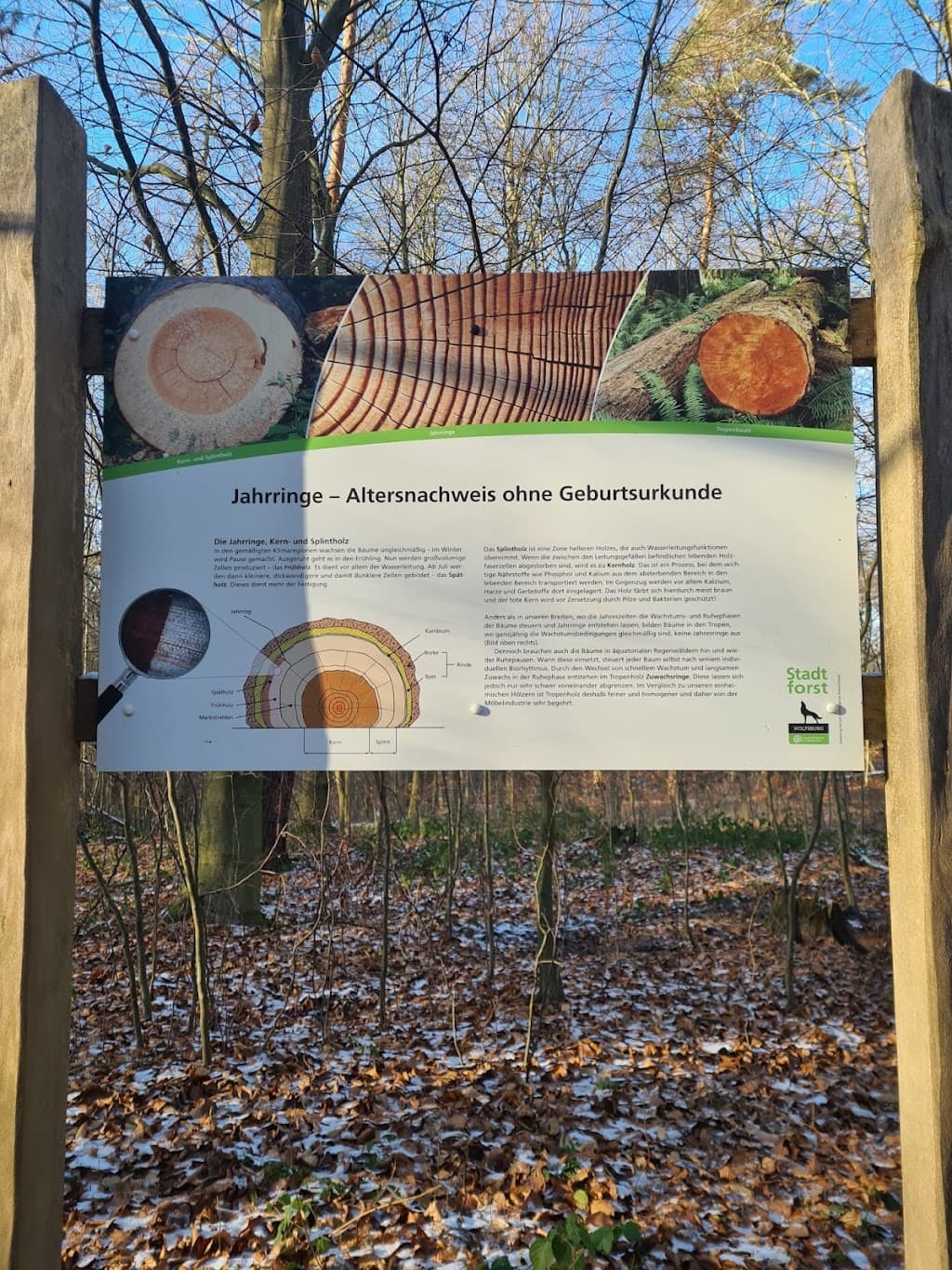 Arboretum Rabenberg und Golfskulptur