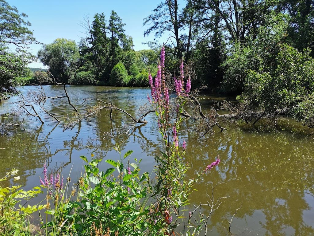 Alterlanger See