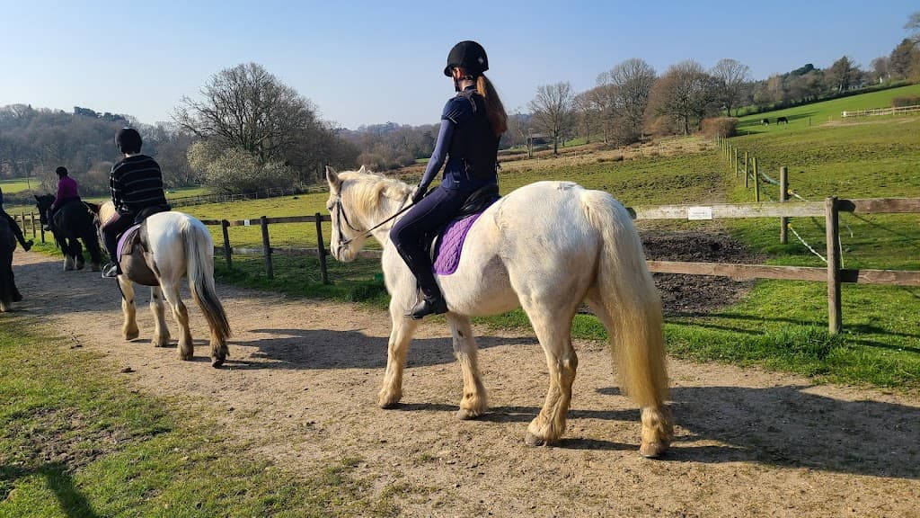 Arniss Equestrian