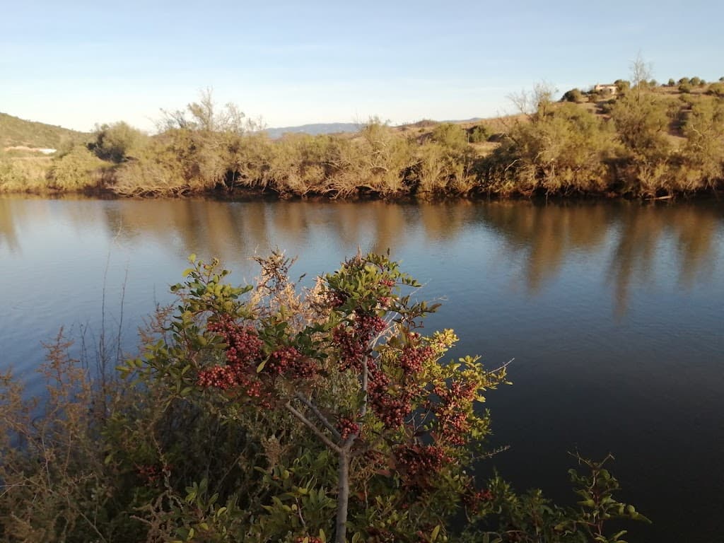 Rio Arade