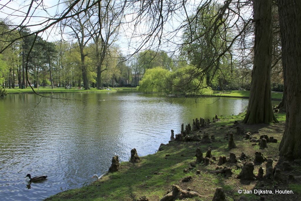Wilhelminapark