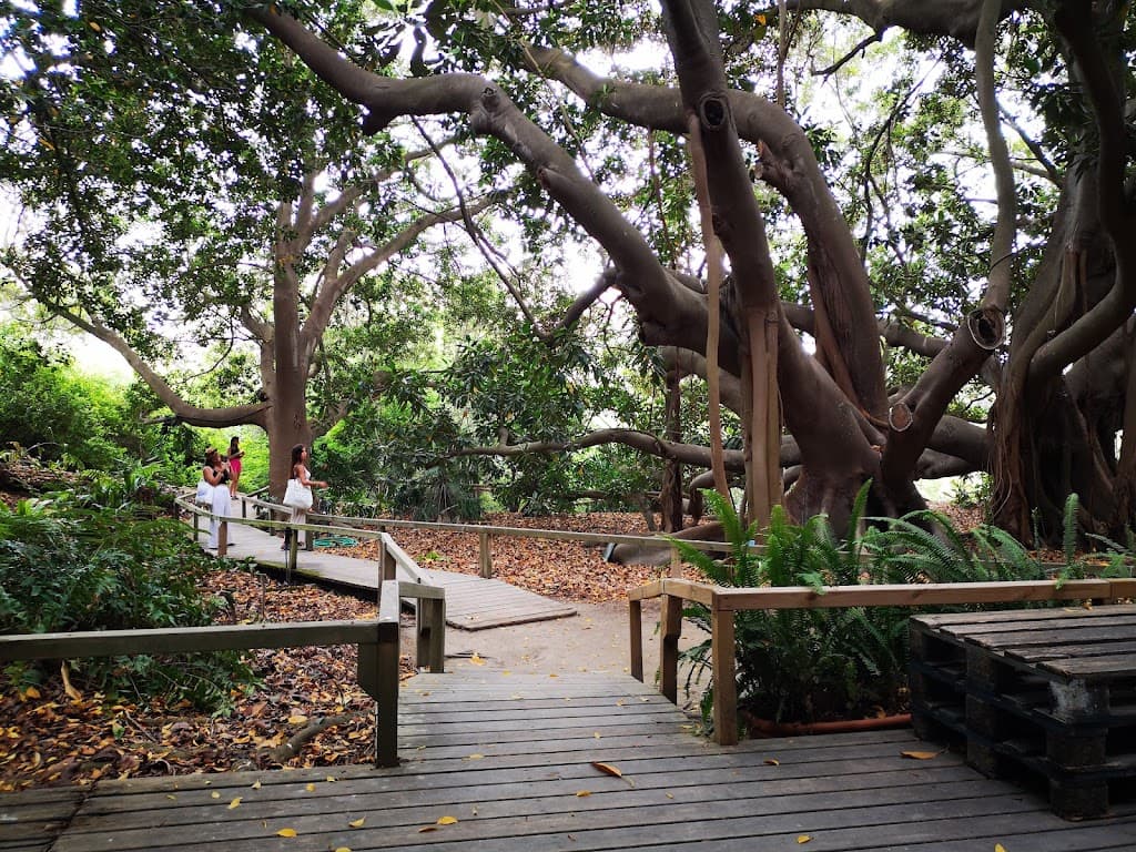 Orto Botanico di Cagliari