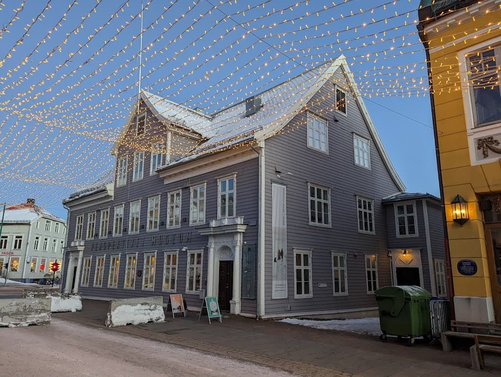 Perspektivet Museum