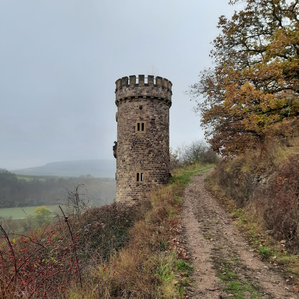 Weinbergstürmchen