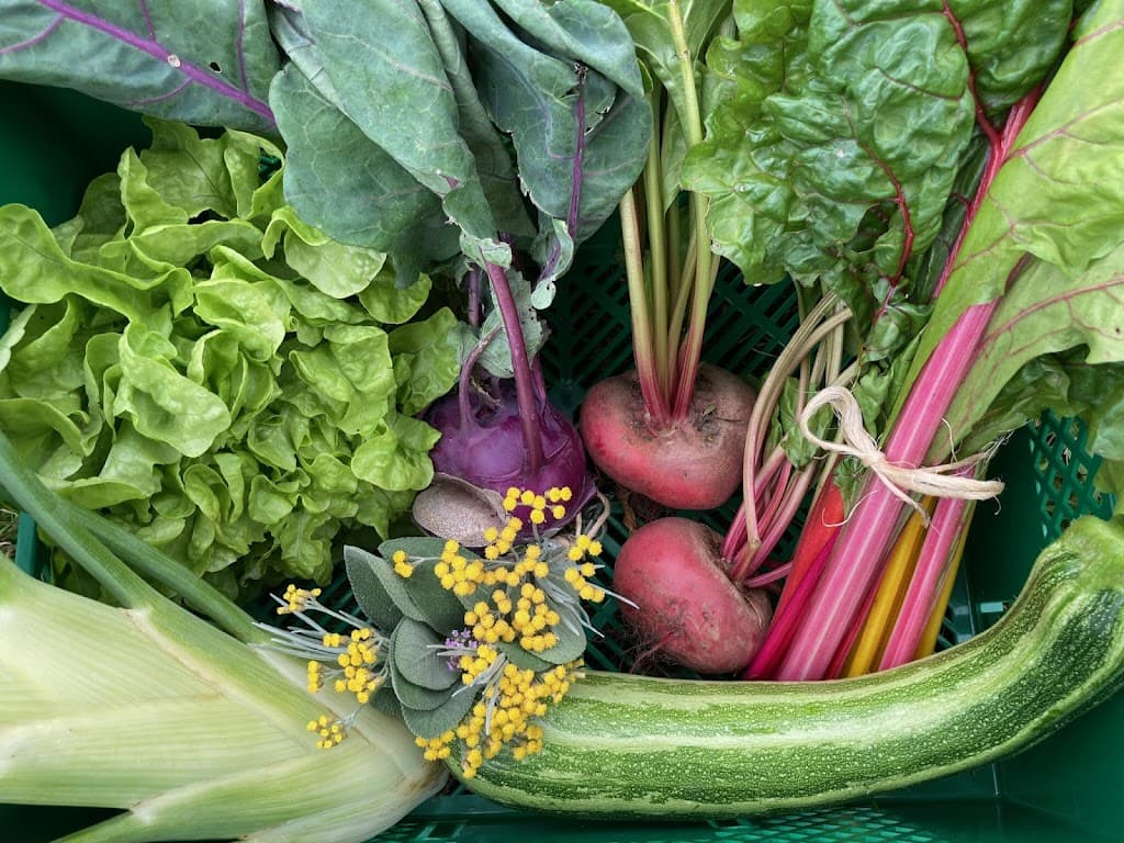 HazelsFarm