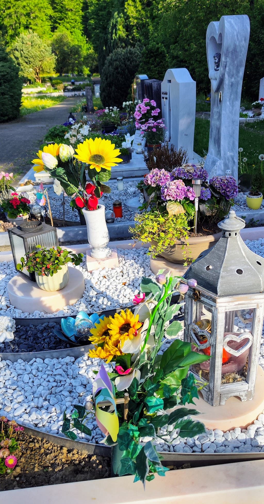Friedhof Zuchwil